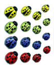 996 Ladybugs (16)